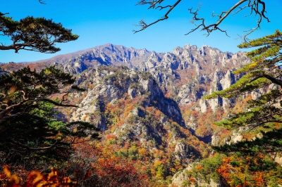 설악산-케이블카-사전-예약-불가!-현장-구매-방법&amp;#44;-요금&amp;#44;-운영시간