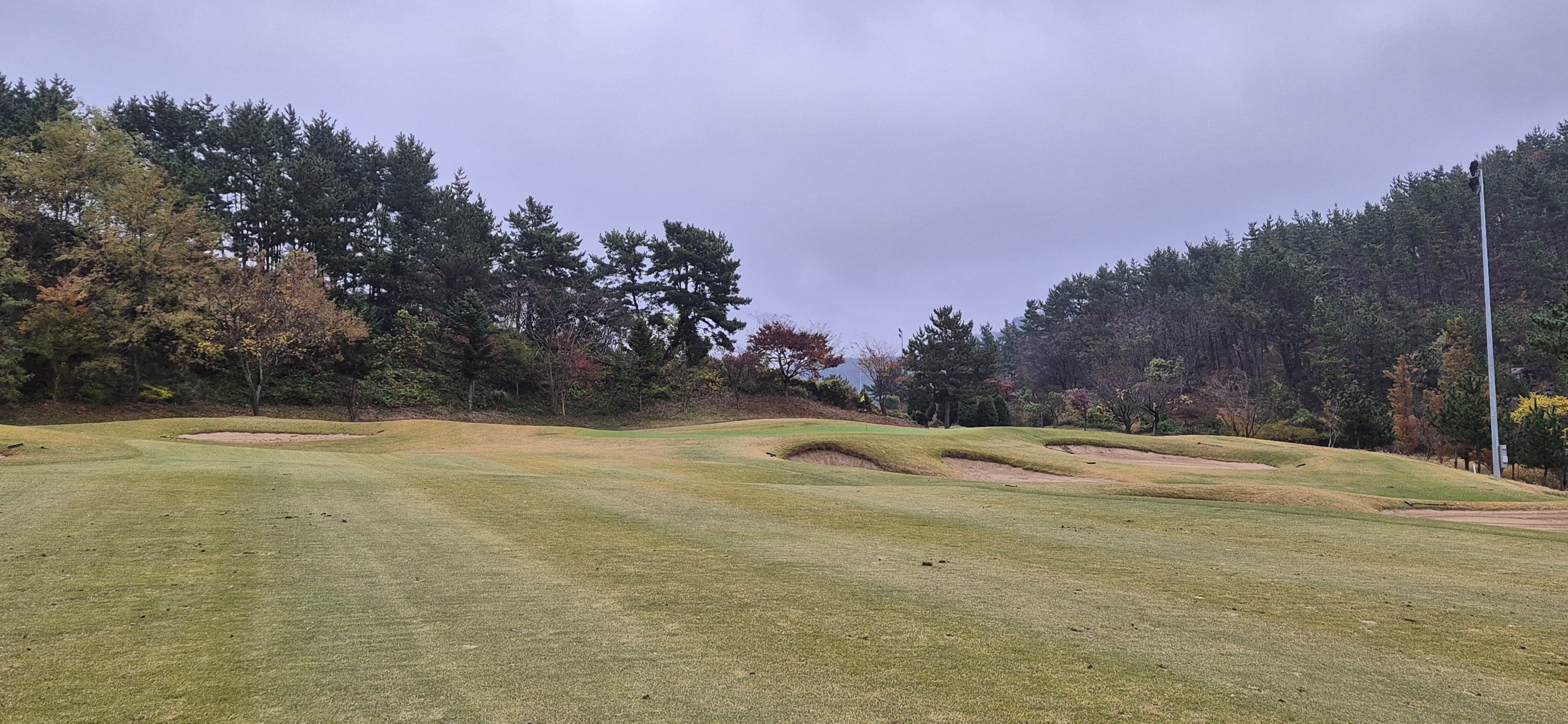 골든베이cc 오션 코스 사진 및 공략 정보