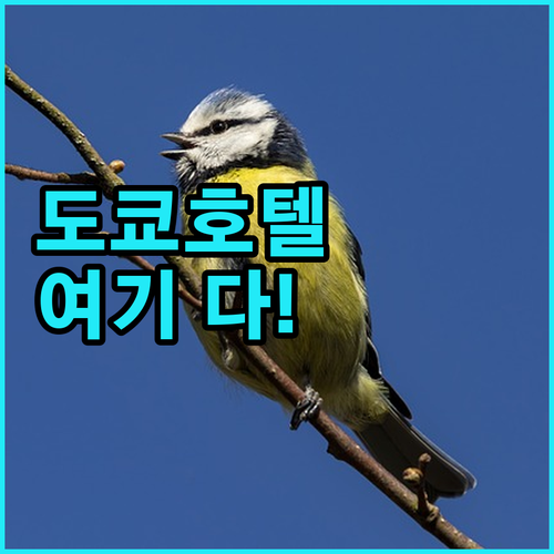 도쿄 호텔 고민 끝! 🗼 뷰 좋고 가