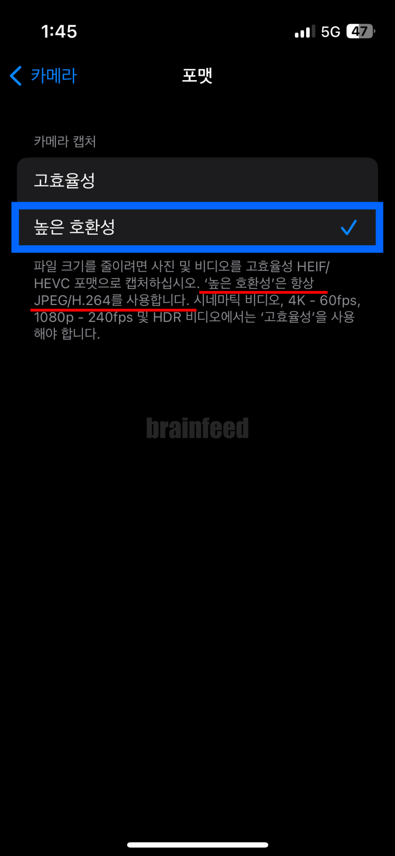 높은 호환성 설정
