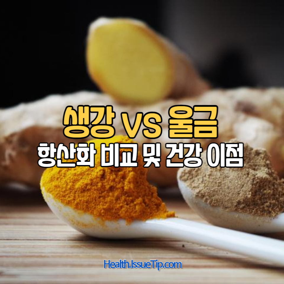 생강과 울금의 항산화물질이 우리 몸에 주는 놀라운 효과