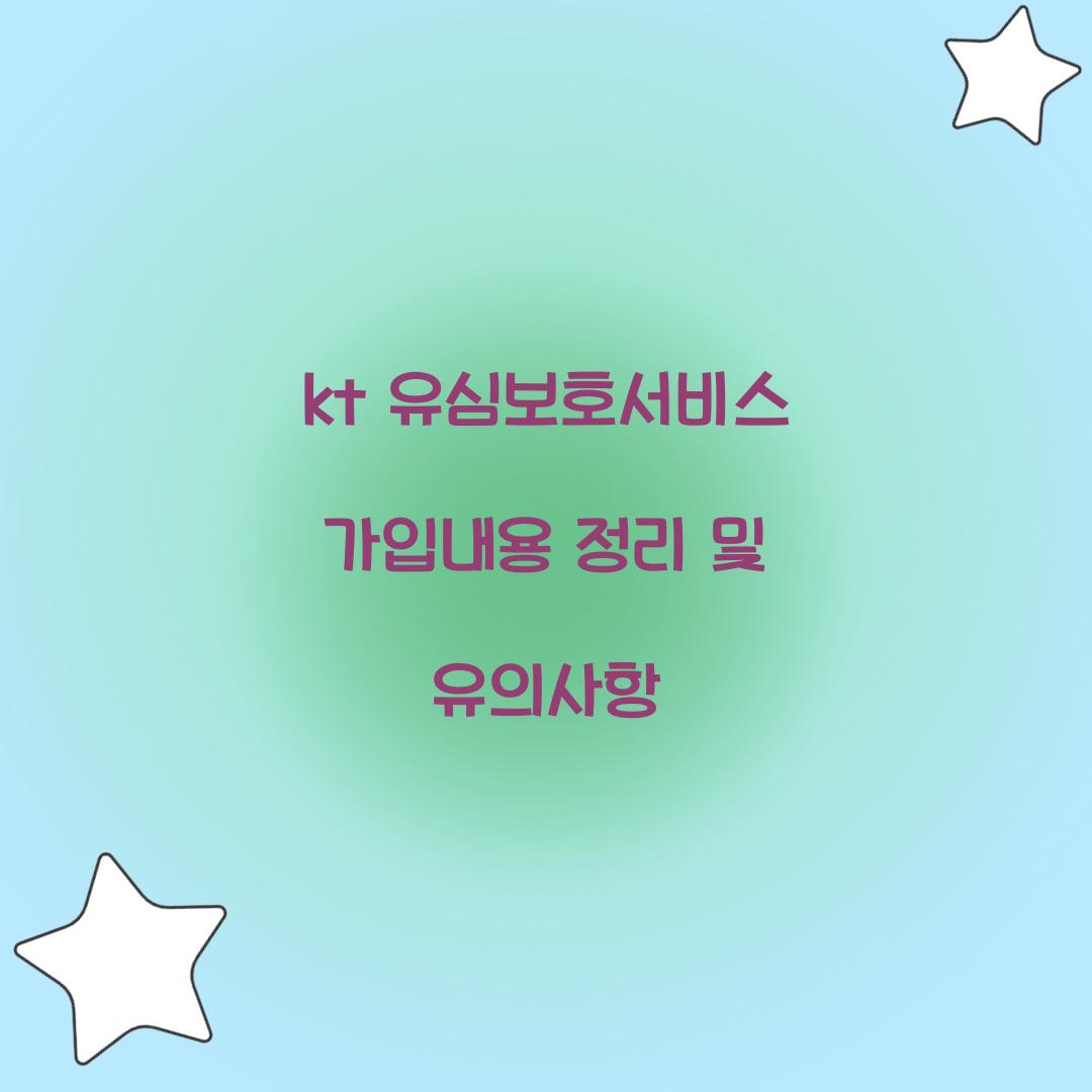 kt 유심보호서비스 가입내용