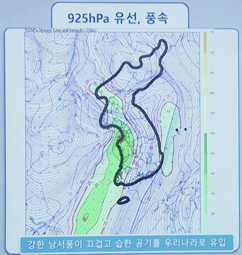 강풍전망