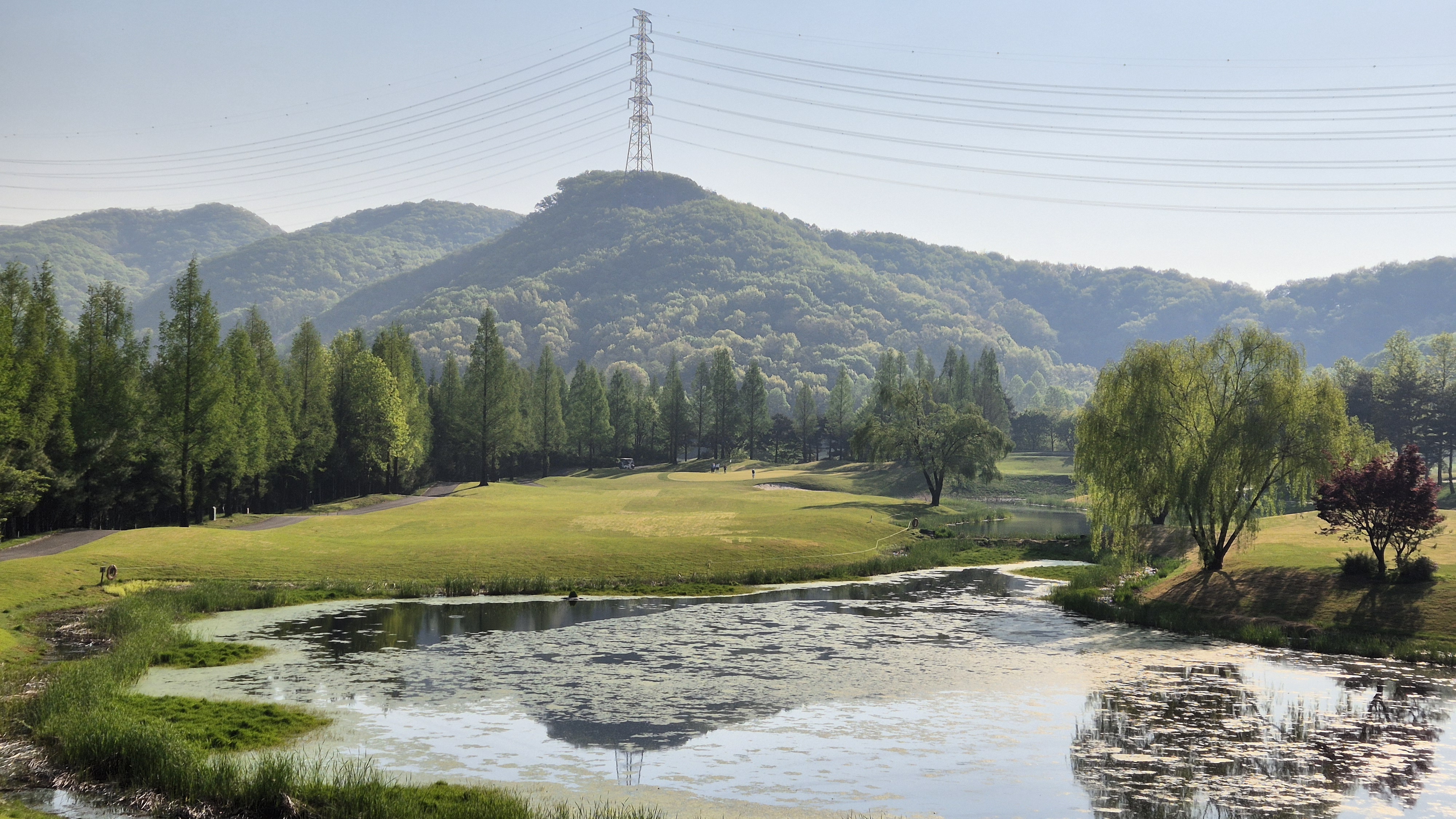 마에스트로cc 코스