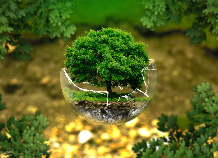 자연을 표현한 사진