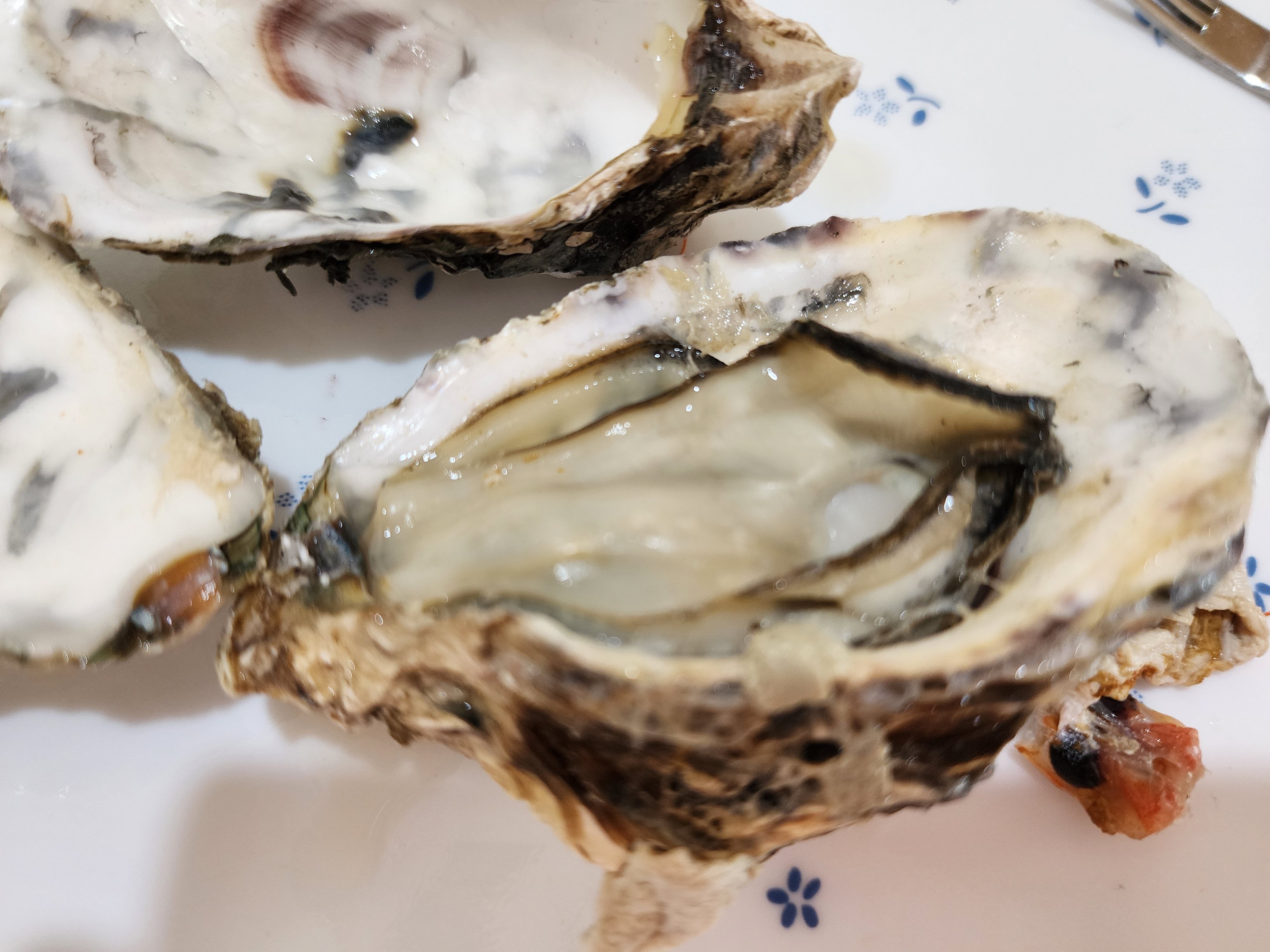 대게 시세&amp;#44; 대게 1키로 가격&amp;#44; 대게 싸게 먹는법