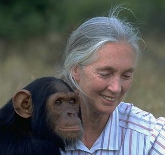 제인 구달 별세