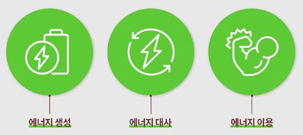 덴프스 트루바이타민