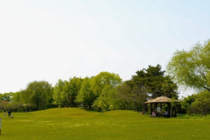 도심속휴식공원