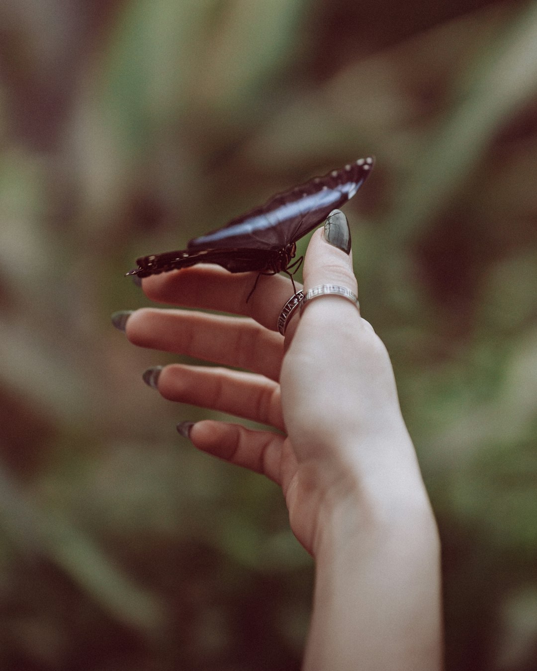 송도 총기사고 사건 정리 &amp;#124; 인천 송도 총기 난사&middot;폭발물 피의자 최신 소식