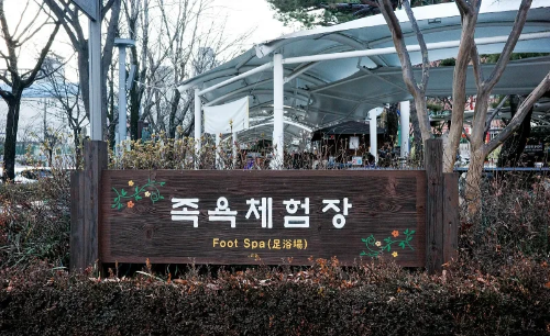 대전 겨울 여행 명소, 엑스포다리&middot;갑천산책로&middot;보문산전망대&middot;유성온천