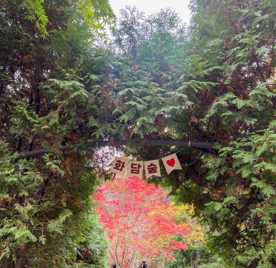 곤지암-화담숲-예약-전쟁-승리-2025년-최신-정보-총정리