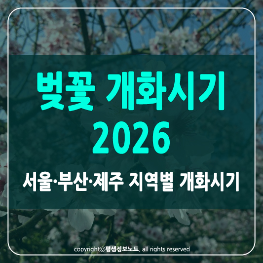 벚꽃 개화시기 2026 썸네일