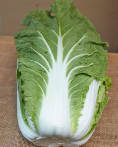 배추의 '잎'