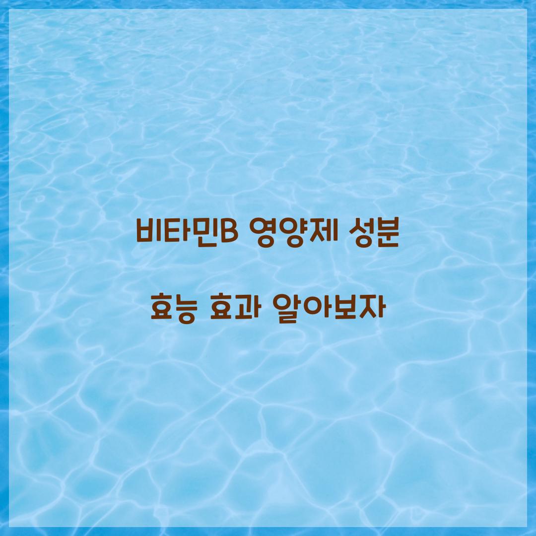 비타민B 영양제 성분 효능 효과