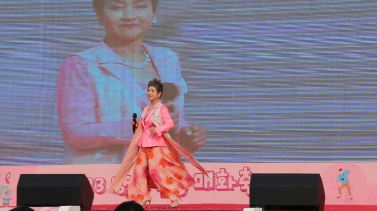 양산 원동 매화축제