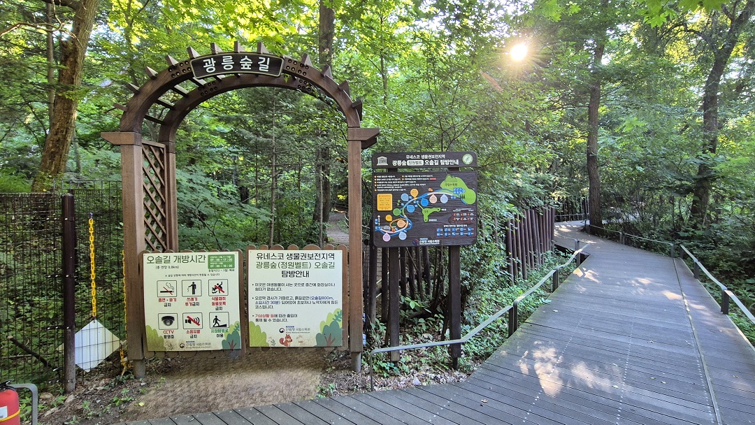 광릉숲 정원벨트 전면 개방