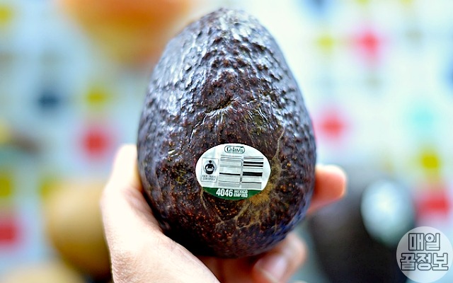 비만세균 잡는 프롤린유산균 많은 음식,아보카도