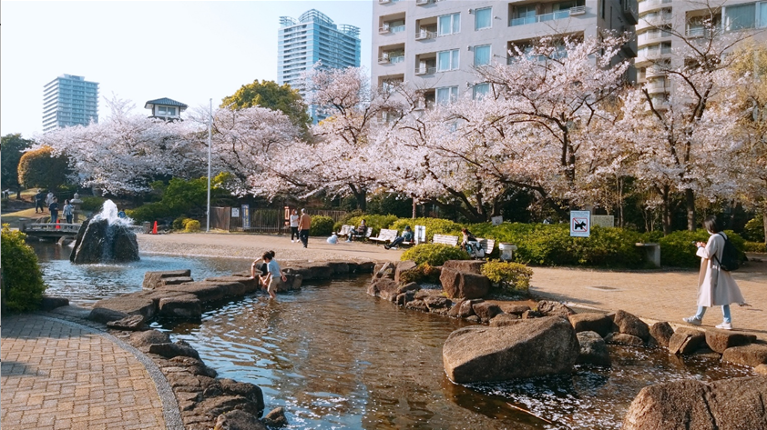 도쿄 주택가의 한적함