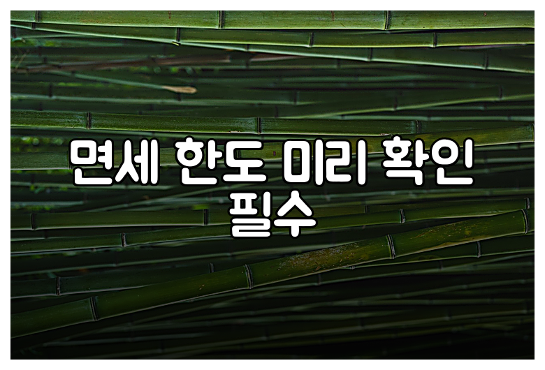 면세 한도 미리 확인 필수