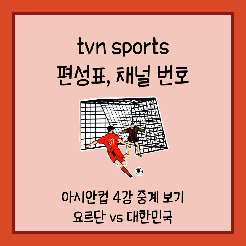 tvn sports 채널 번호