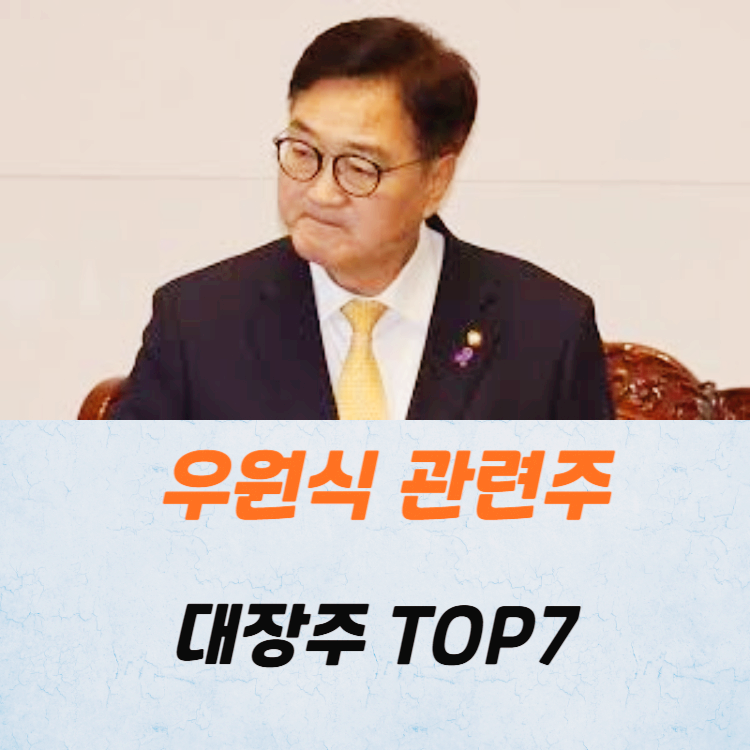 우원식 관련주 대장주 테마주 주식 TOP7