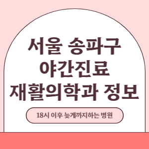 서울 송파구 야간진료 재활의학과 병원 (18시 이후 늦게까지하는 병원)