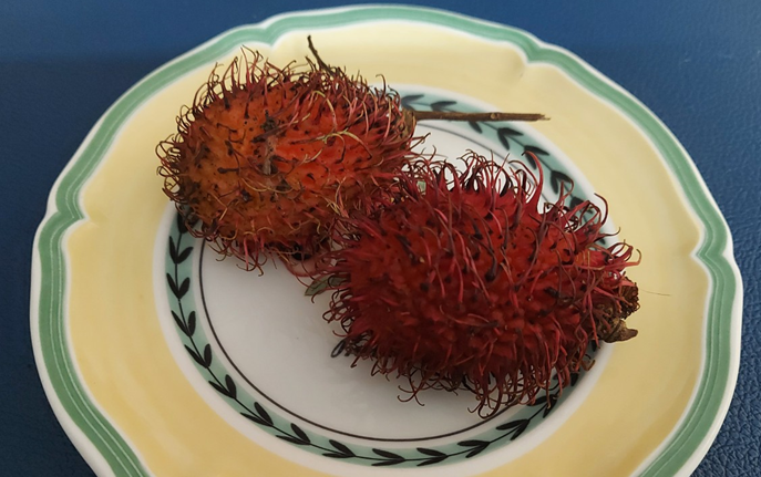 열대과일 람부탄의 효능