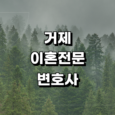 거제시 이혼 변호사