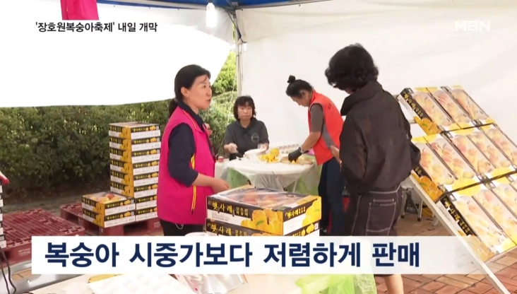 장호원 복숭아 축제