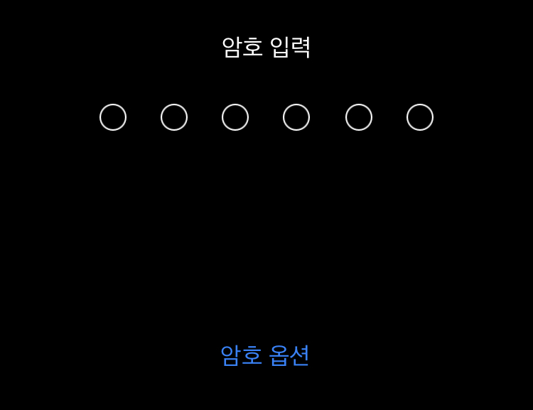 암호옵션