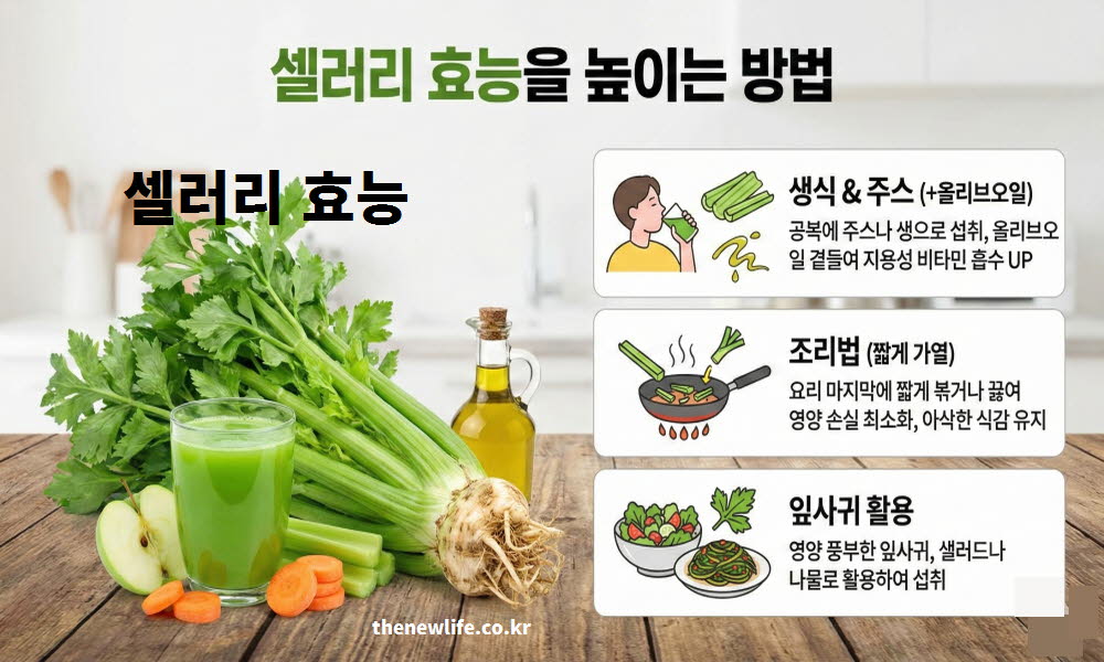 셀러리 효능을 높이는 방법으로 섭취 방법과 조리법을 설명하는 이미지