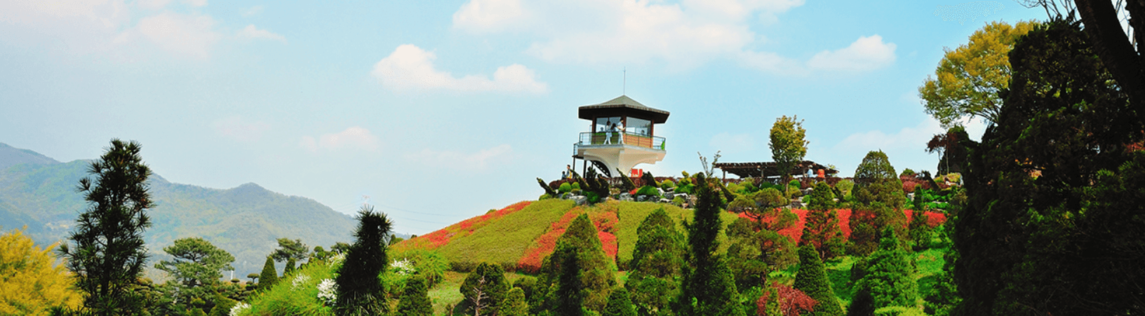 베어트리파크 단풍축제 입장료 예약 할인 주차