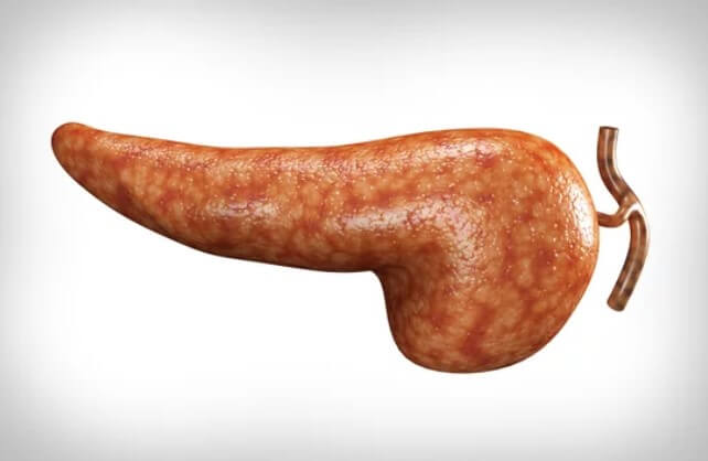 췌장의 역할 췌장암 검사 췌장암 검사종류 췌장암 검사방법