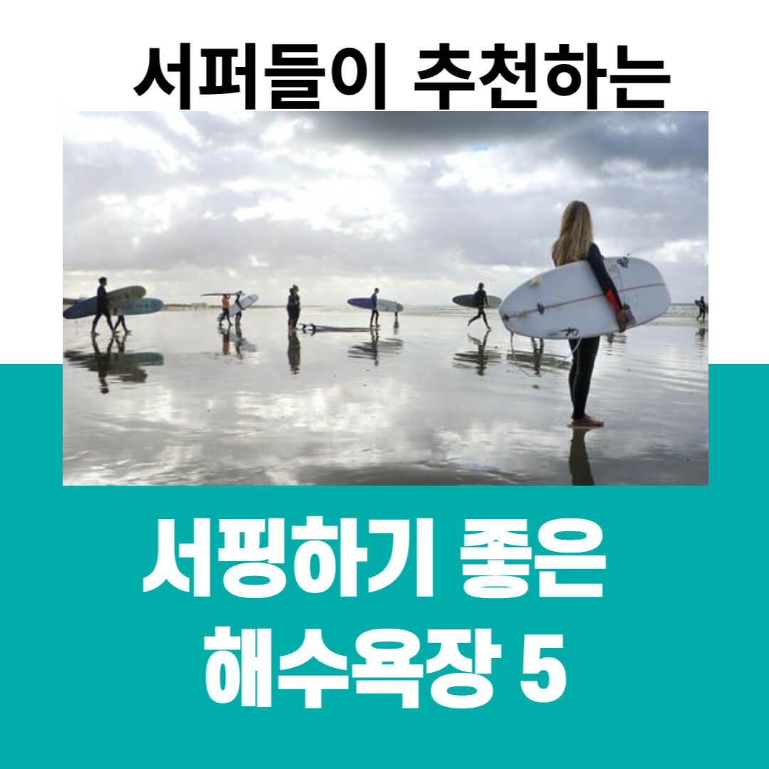 서퍼들이 추천하는 해변