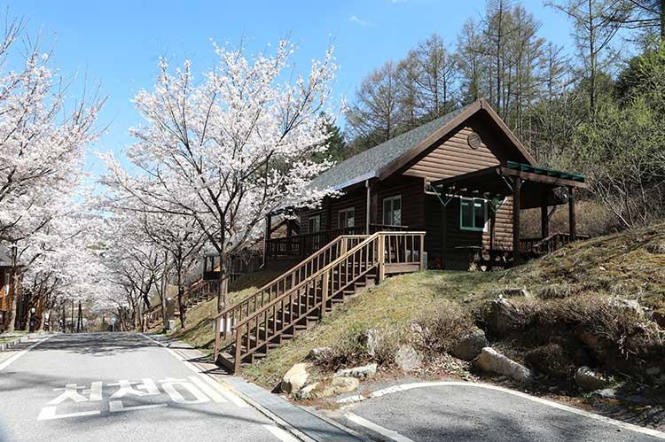 가평 '연인산 다목적캠핑장' 미리보기