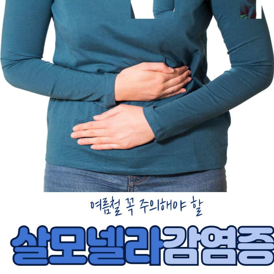 살모넬라감염증