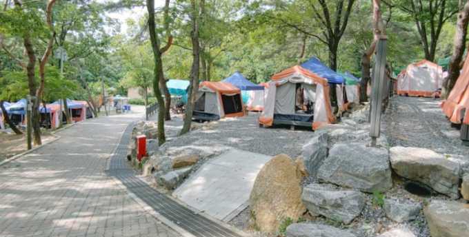 서울대공원 캠핑장 예약