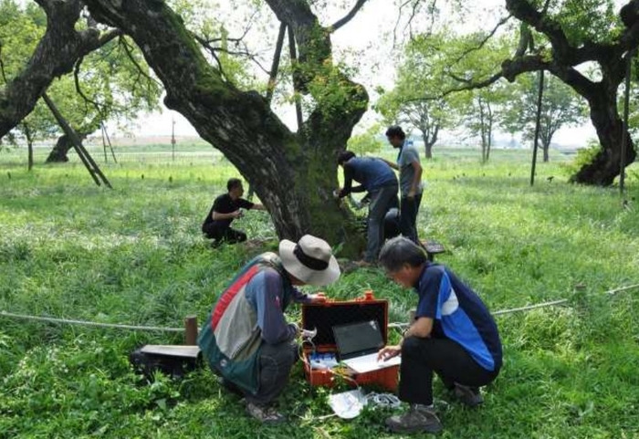 나무의사 응시 자격