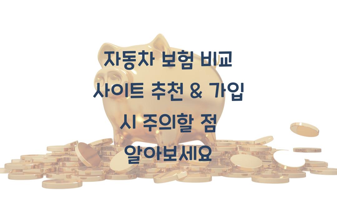 자동차 보험 비교 사이트 추천 & 가입 시 주의할 점