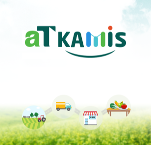 김장준비 배추 가격 시세 조회하는 방법