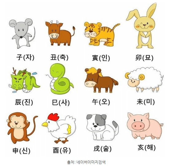 2024년 띠별(12지신) 오늘의 운세 -무료
