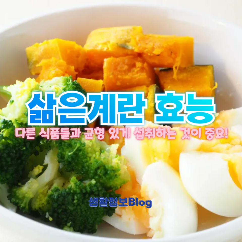 삶은계란 효능