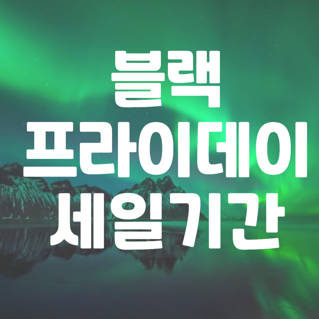 블랙프라이데이 세일기간 행사내용