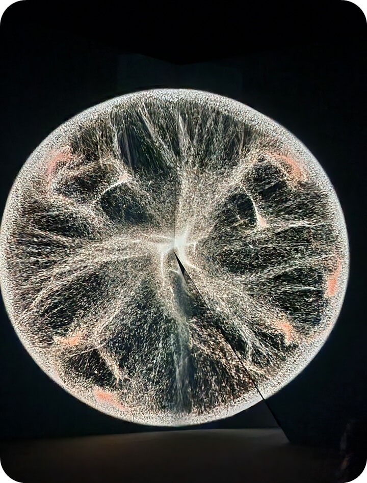 입자가 많은 커다란 흰 원