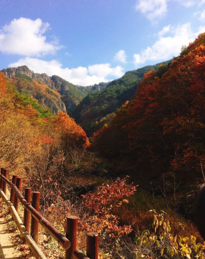 2025 가을 경상도 단풍 명소 산행 추천 ❘ 주왕산&middot;가야산&middot;팔공산 절정 시기