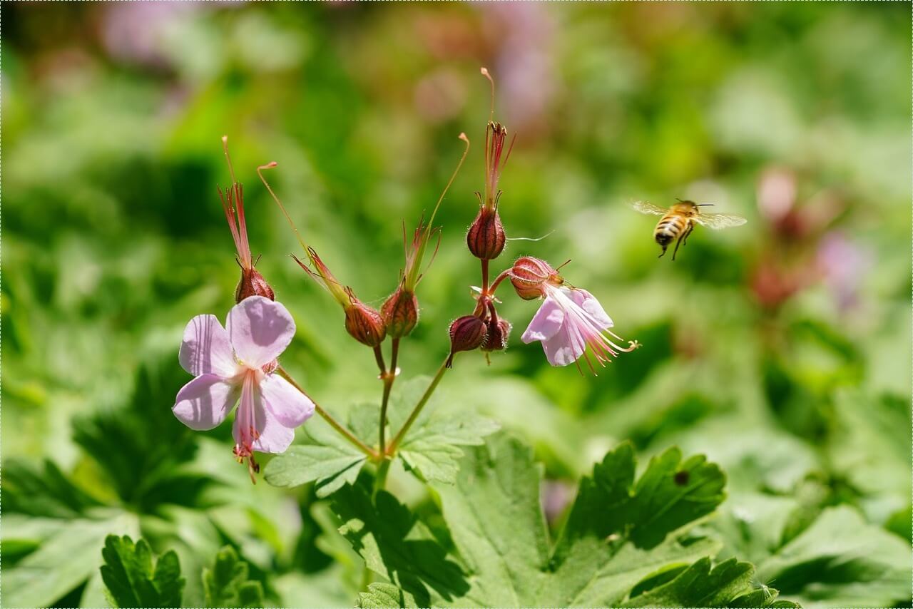 우리은행 정기예금 금리