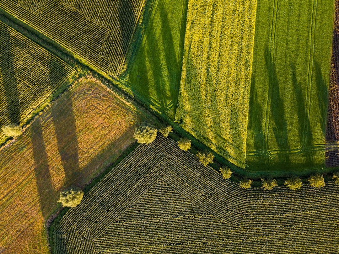 Agriculture