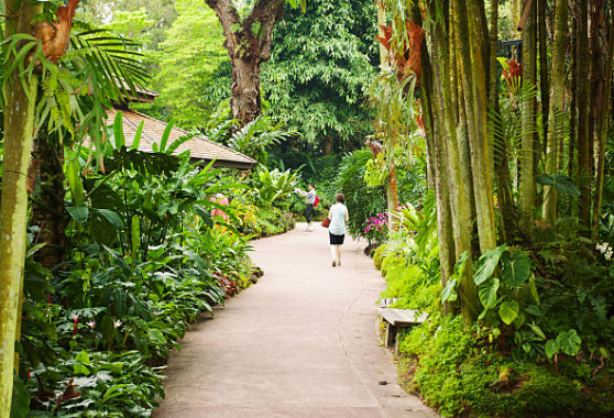 식물 정원의 사진