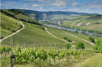 전세사기 예방법 총정리 계약 전 반드시 확인해야 할 체크리스트